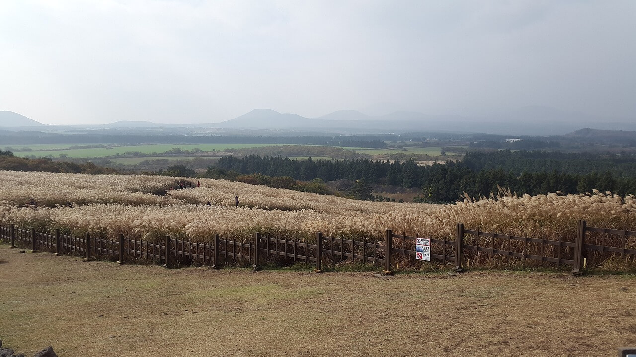 제주도 실내 가볼만한 곳 추천합니다.