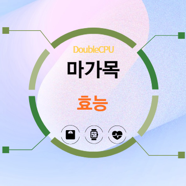 마가목 효능 탐구