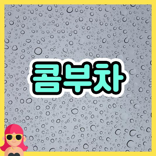 섬네일 콤부차