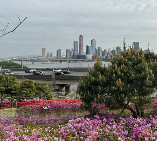 마포새빛문화숲