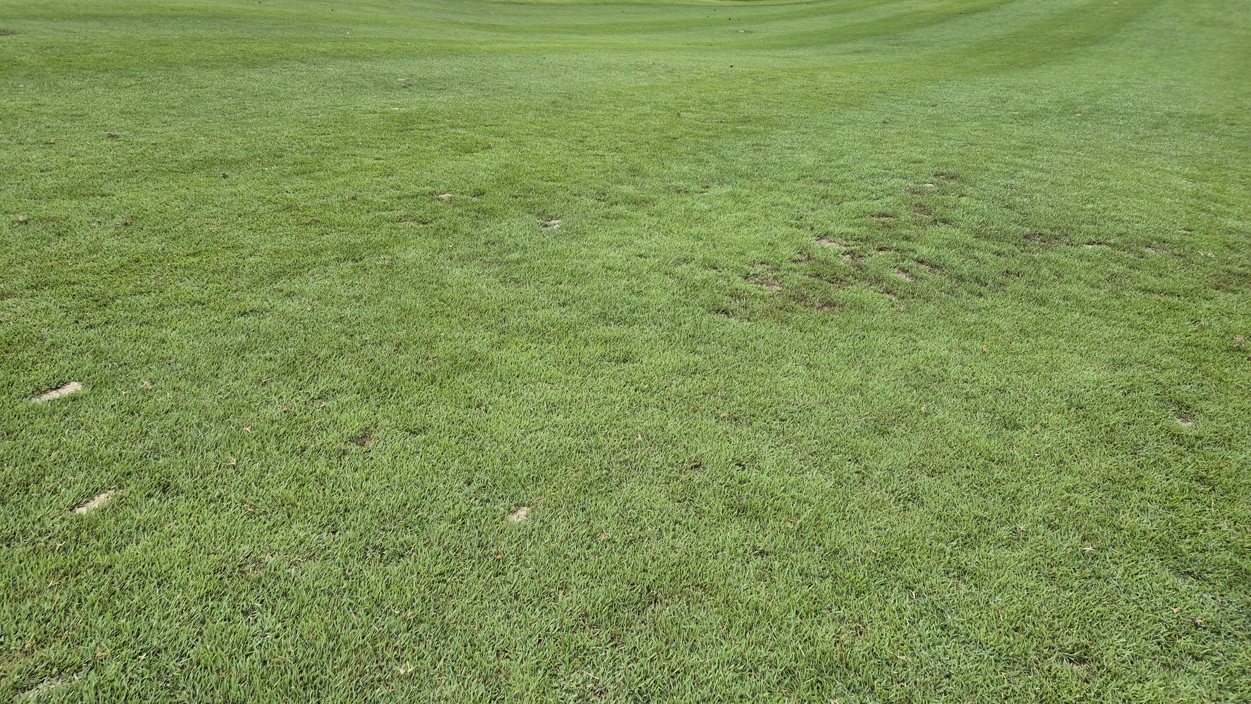 한림용인cc 다이아몬드-사파이어 코스 라운드 후기