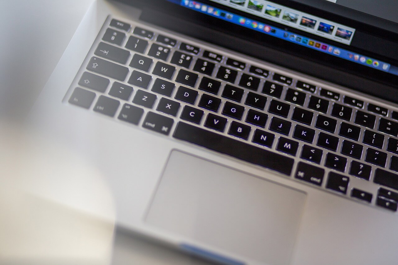 뉴스레터 기반 독서하는 시대