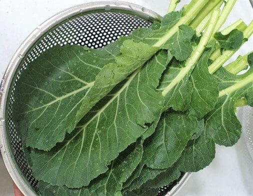 케일 세척