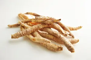 폐렴에-좋은-음식