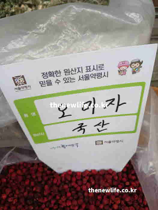 오미자차 효능 방법 꿀 올리고당