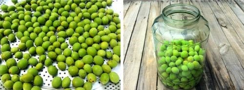 매실주-담그기-담그는법