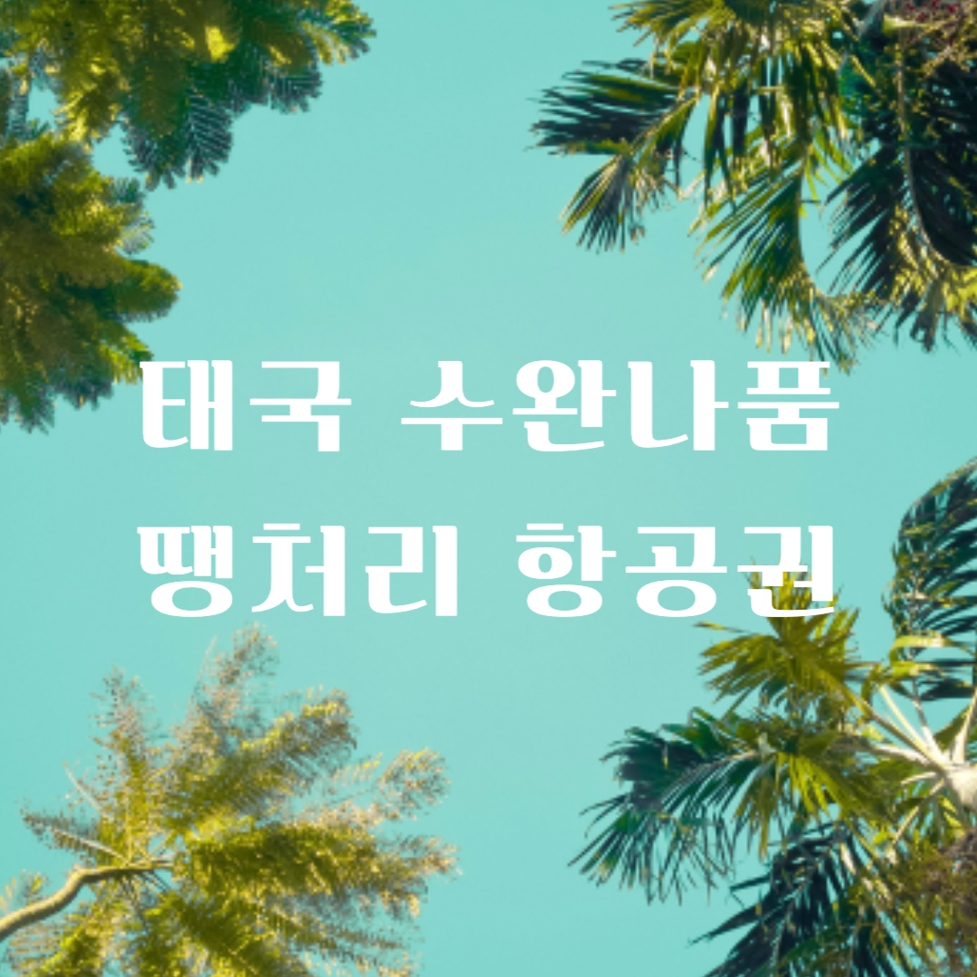 ✅ 2편 - 태국 수완나품공항(BKK) 땡처리 항공권 완벽 정리
