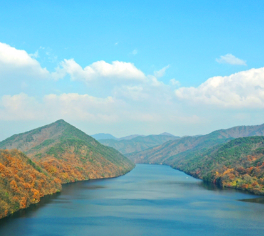 천상의정원 수생식물학습원 정보 안내