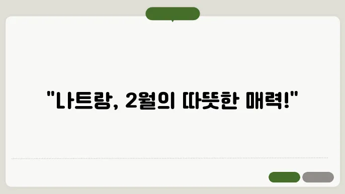 베트남 나트랑 2월 날씨 옷차림 추천 여행지