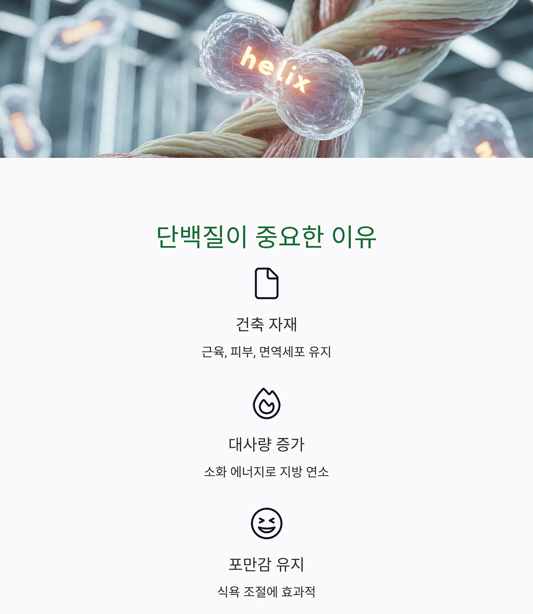 고단백 저지방 식단으로 체중과 건강 모두 잡기