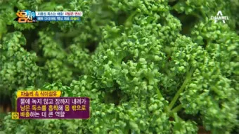 파슬리 재배 반그늘 재배 잎 따기 잦은 수확_13