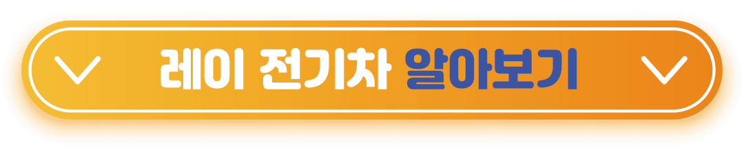 레이 장단점