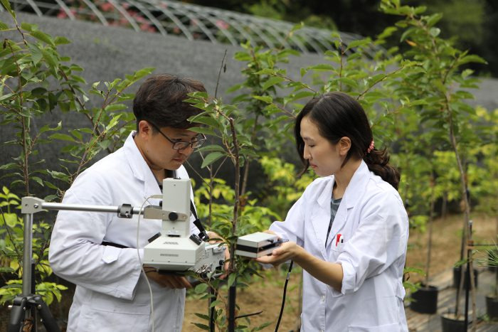 나무의사 양성기관