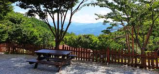 대봉산 숲속힐링