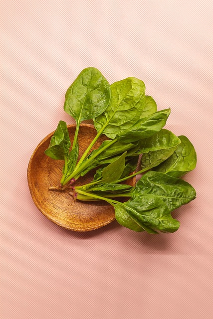 눈에-좋은-베스트-음식-5가지