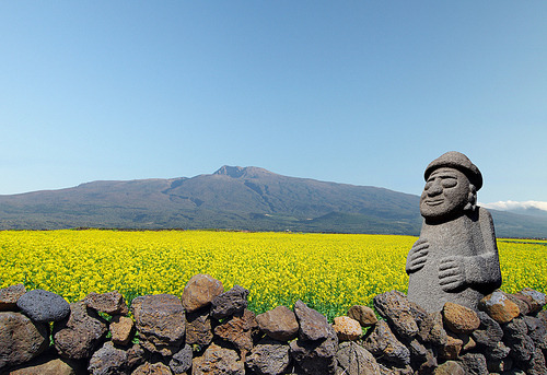 유채꽃과 돌하르방