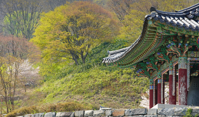 지역에 따른 삼국시대 의학