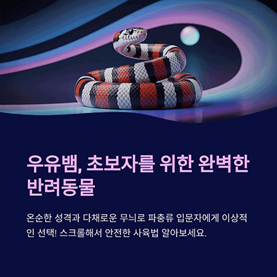 우유뱀 키우기, 입문자를 위한 안전하고 쉬운 사육 가이드