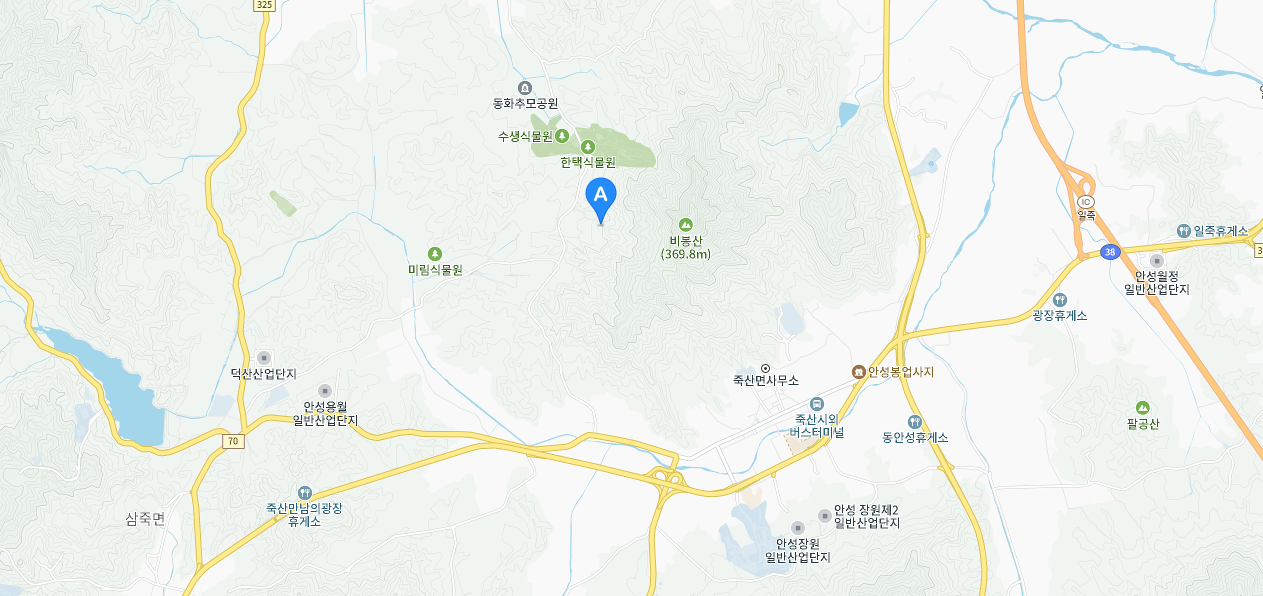 벚꽃 캠핑장