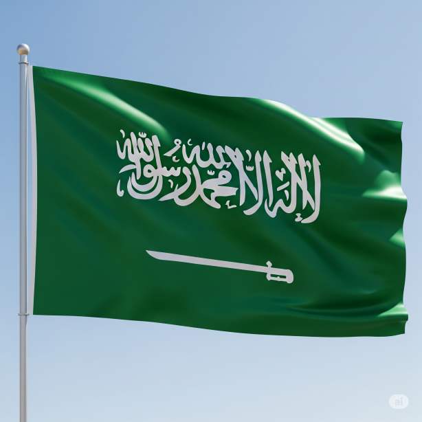 사우디아라비아 1인당 국민소득 – 석유국가 경제의 민낯