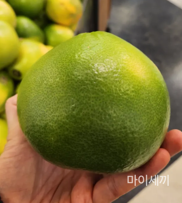 메로자몽골드 효능