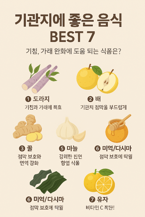 기관지에 좋은 음식