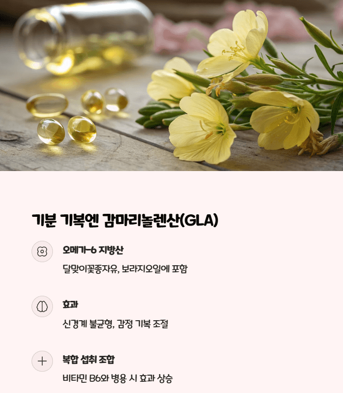 여성 갱년기 영양제 추천