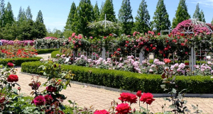 고양국제꽃박람회