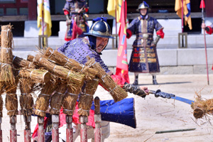 2025 제11회 수원발레축제 완벽 가이드 &amp;#124; 9월 수원제1야외음악당 무료 공연