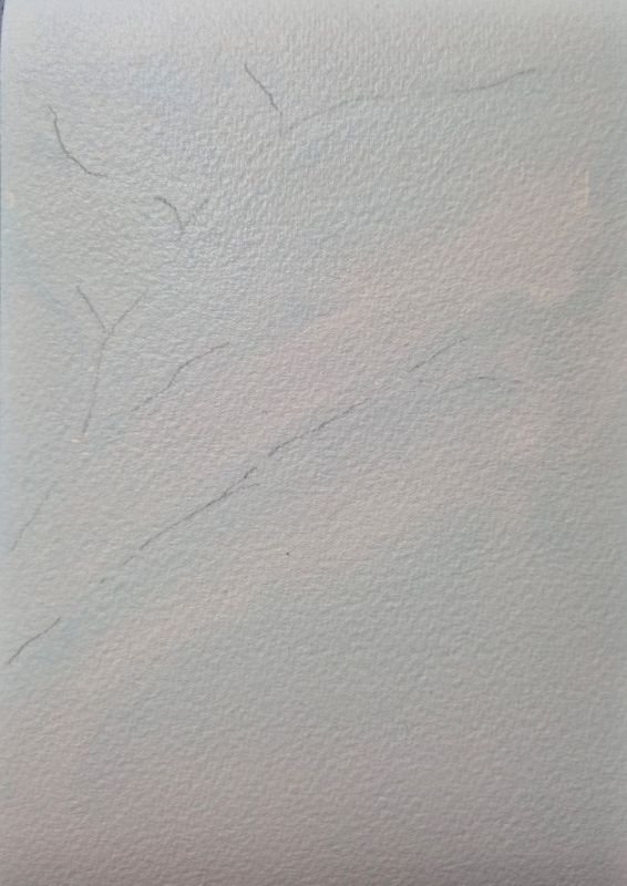 하늘