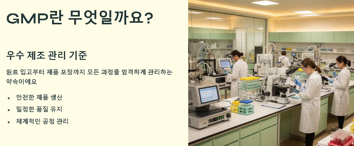 gmp 란 뜻 개념 정리