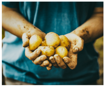 일자리 채움 청년지원금 신청 방법 지원 대상 조건 운영기관 지급일