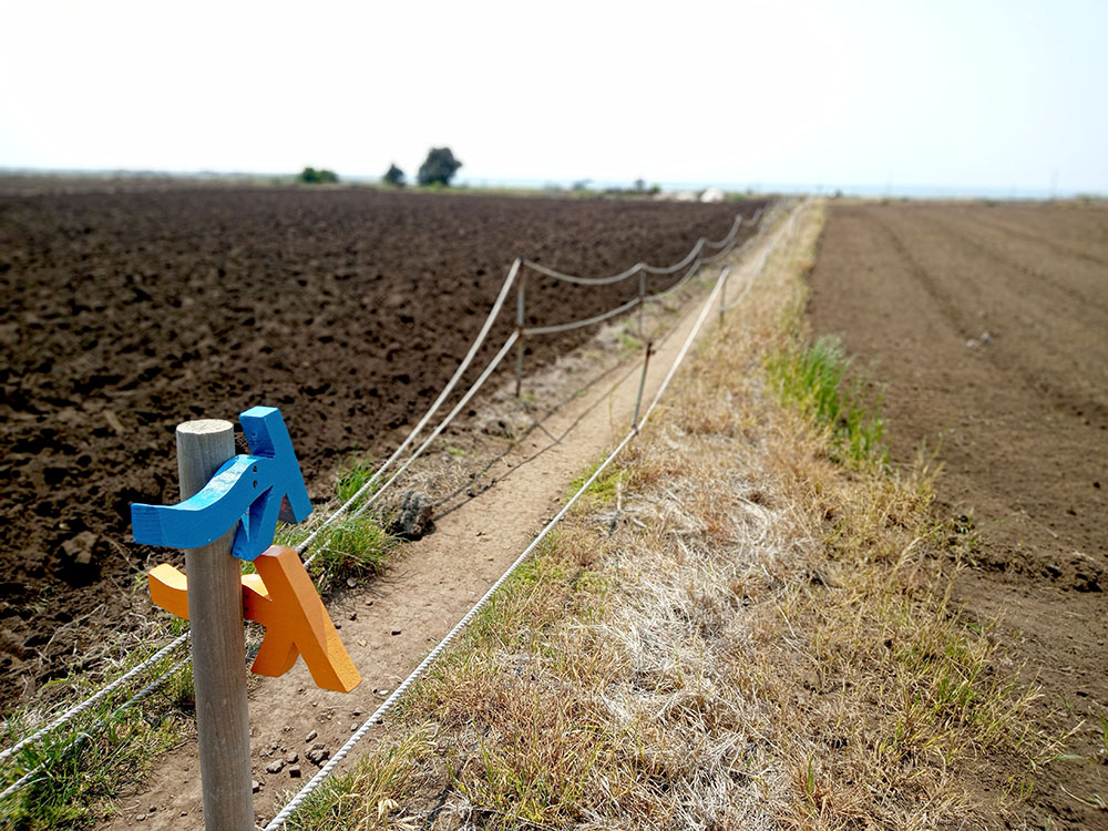 올레길 10코스: 화순금모래해변에서 모슬포 하모체육공원까지