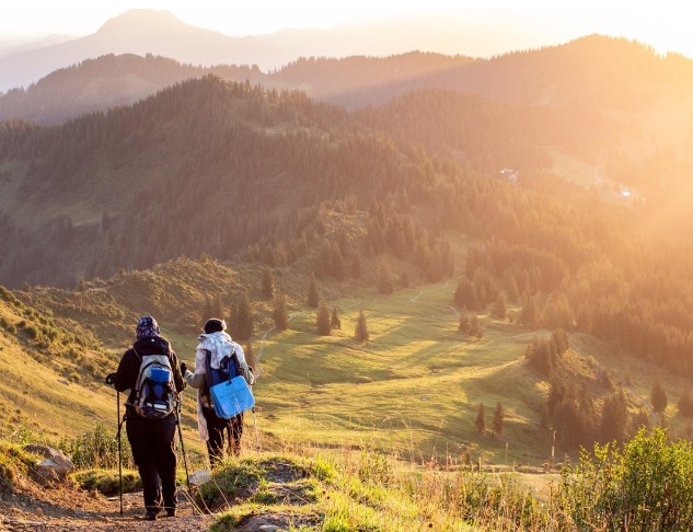 경등산화 vs 중등산화 차이점 및 등산화 구매 고려사항 - 가장 중요한 점은 무엇인가요?