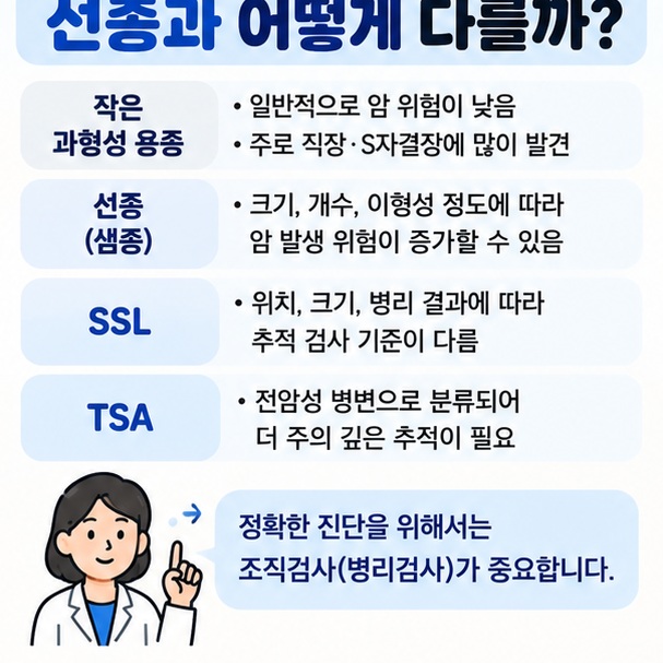 과형성 용종은 보통 낮은 위험 선종과 톱니병변은 병리 결과에 따라 관리가 달라지는 차이를 보여주는 이미지
