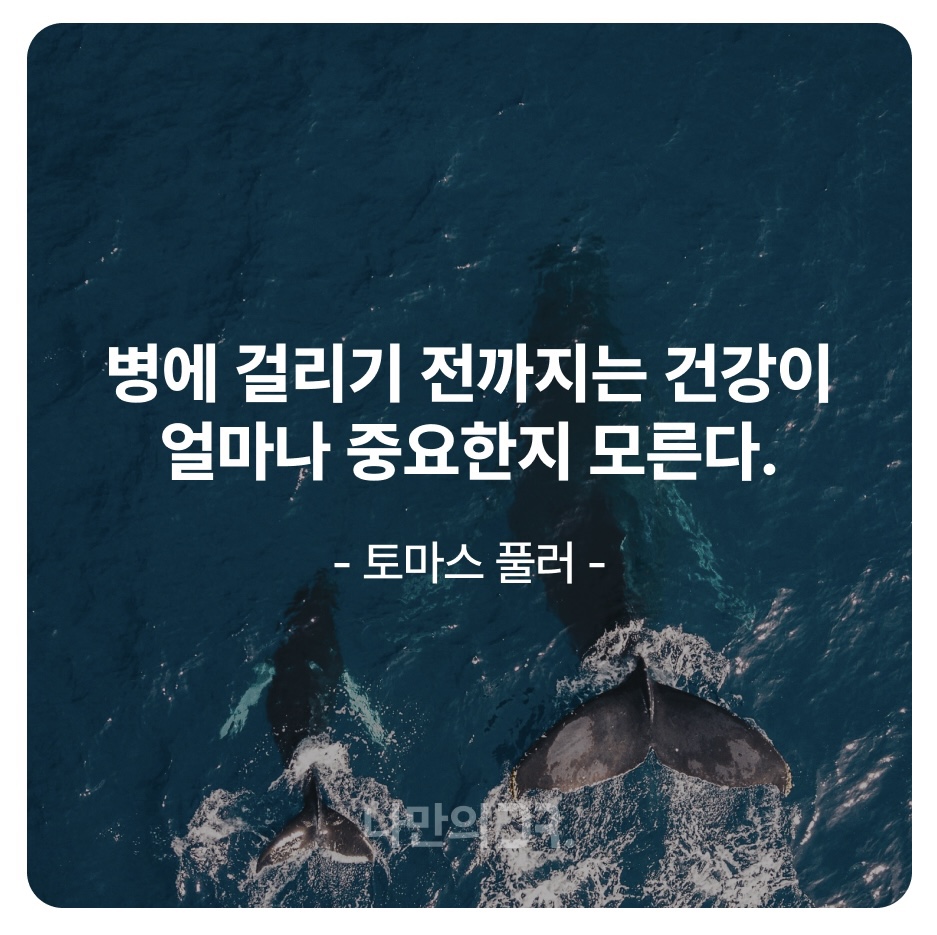 건강 한마디