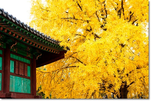 서울에서 전주가는 고속버스 시간표