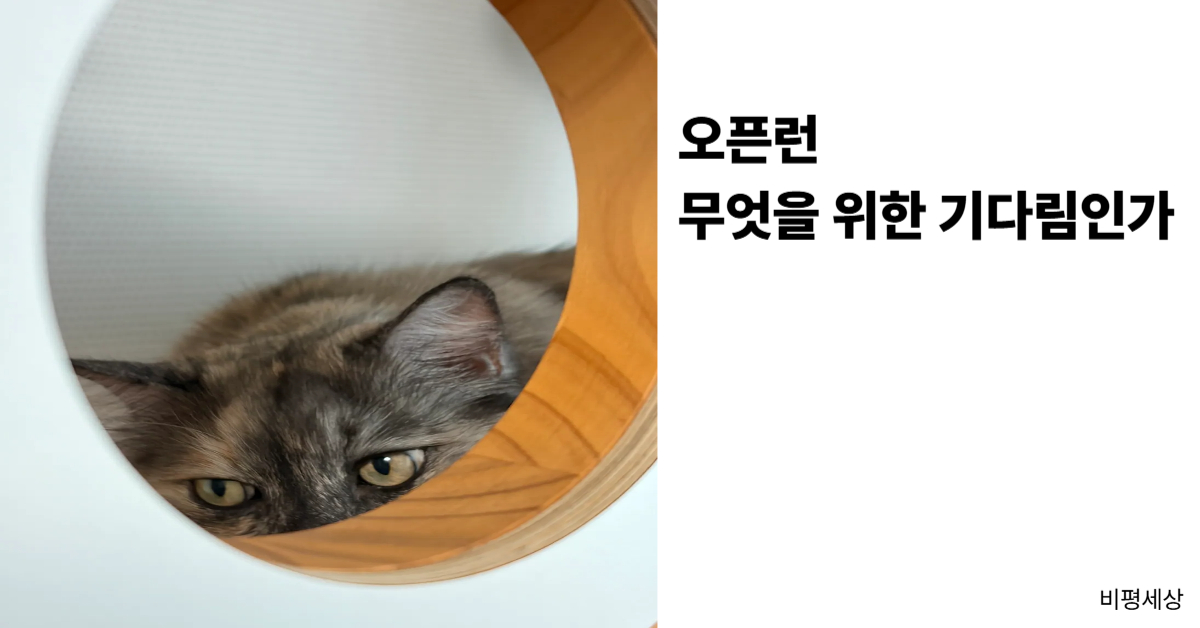 오픈런 현상을 바라보는 비평세상의 시선과 일상의 여유