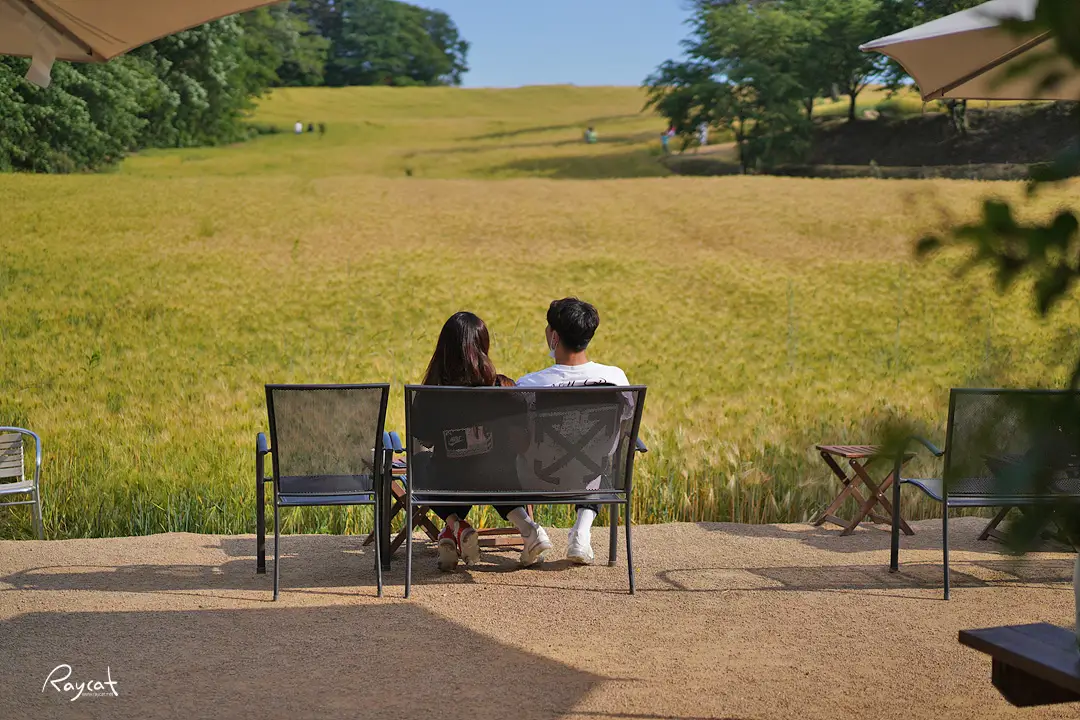 당진 카페 피어라2