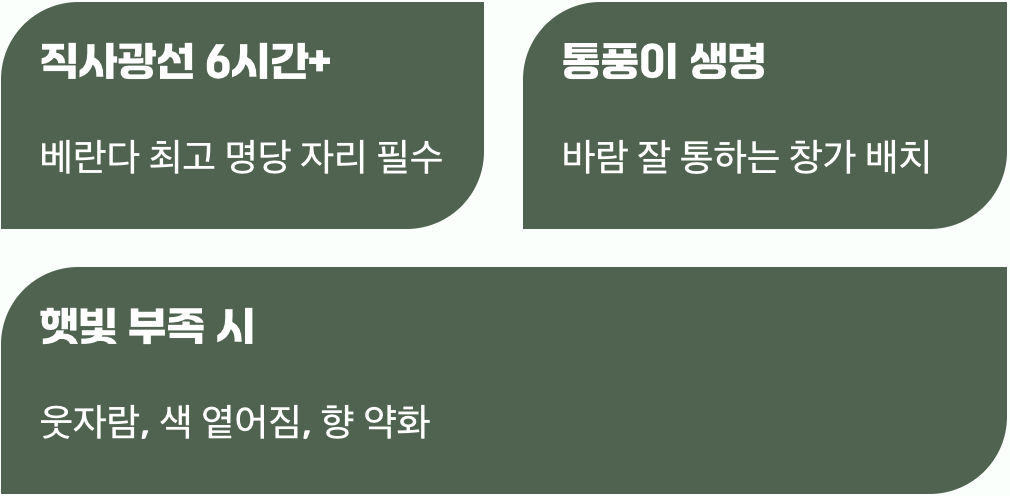 최고의 선물, 뜨거운 햇살과 바람