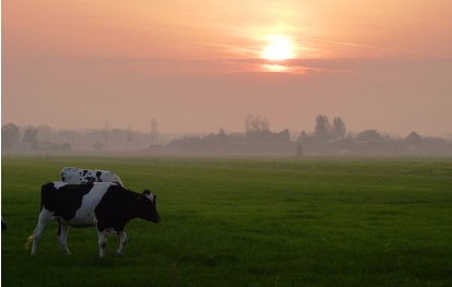 영농 경력 5년 쉽게 하는 법: 농지연금
