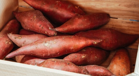 고구마 보관하는 법 완벽 가이드