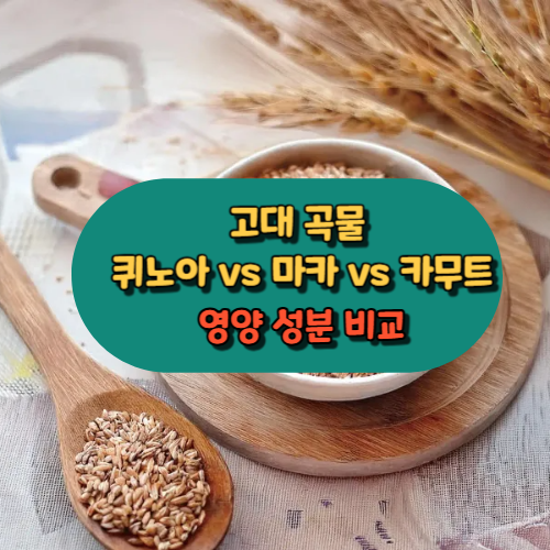 고대 곡물&nbsp; 퀴노아 vs 마카 vs 카무트