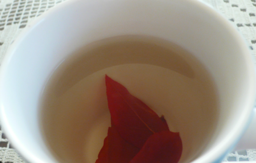 블루베리 잎 차