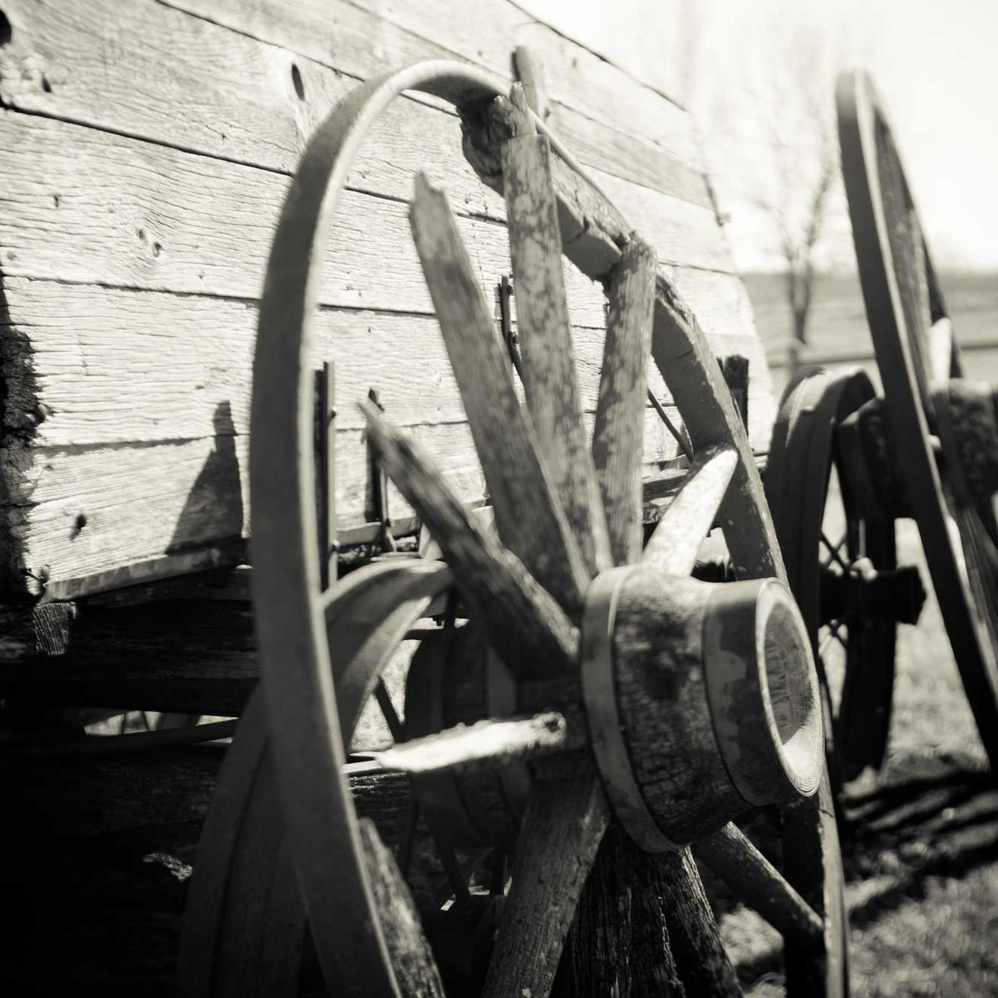 키스토론 청약-공모주