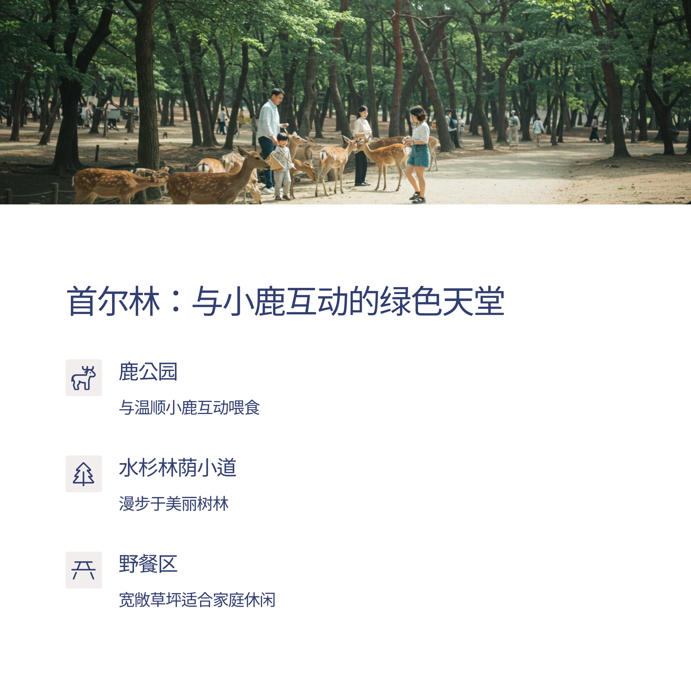 首尔家庭免费景点推荐：必去的TOP 5