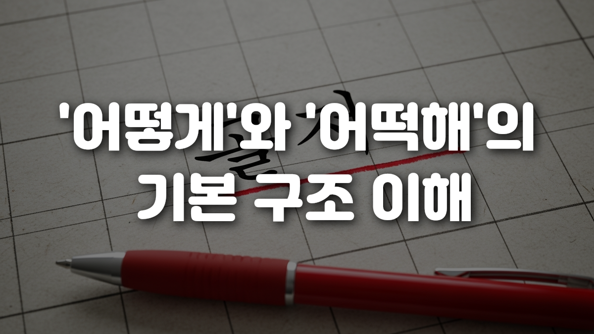 어떻게 와 어떡해 의 기본 구조 이해