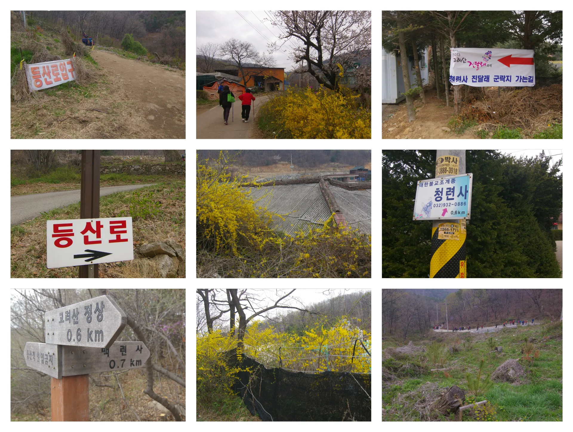 봄 고려산
