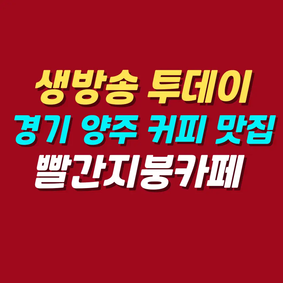 생방송-투데이-경기-양주-커피-디저트-힐링-카페
