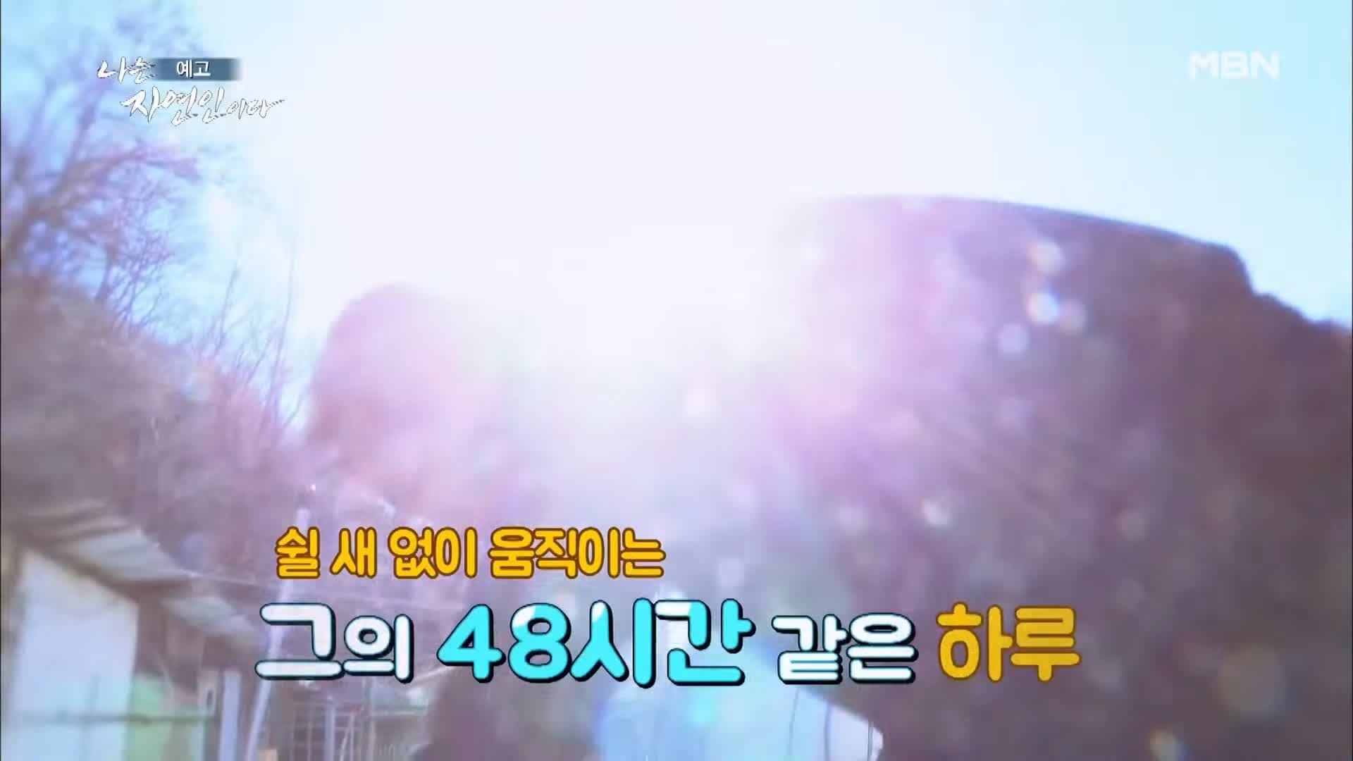 나는 자연인이다 순정 마초의 겨울찬가 자연인 박인태 소개 및 윤택 출연 533회 다시보기